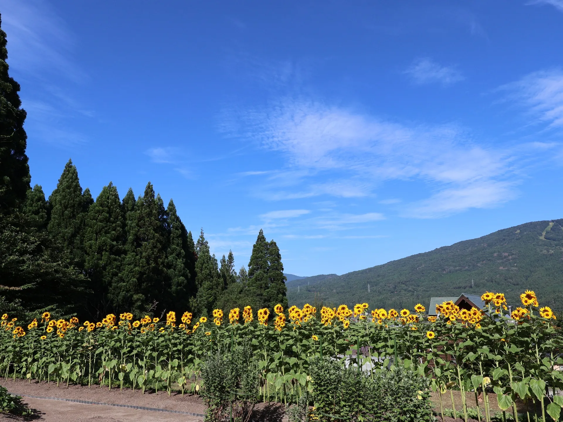 旅館　吉和の風