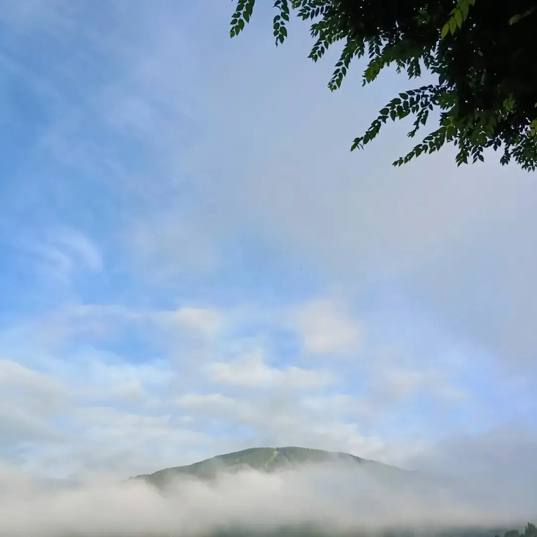 朝靄の女鹿平山